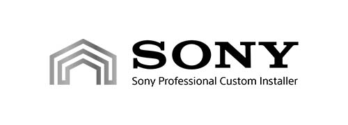 Sony professional
